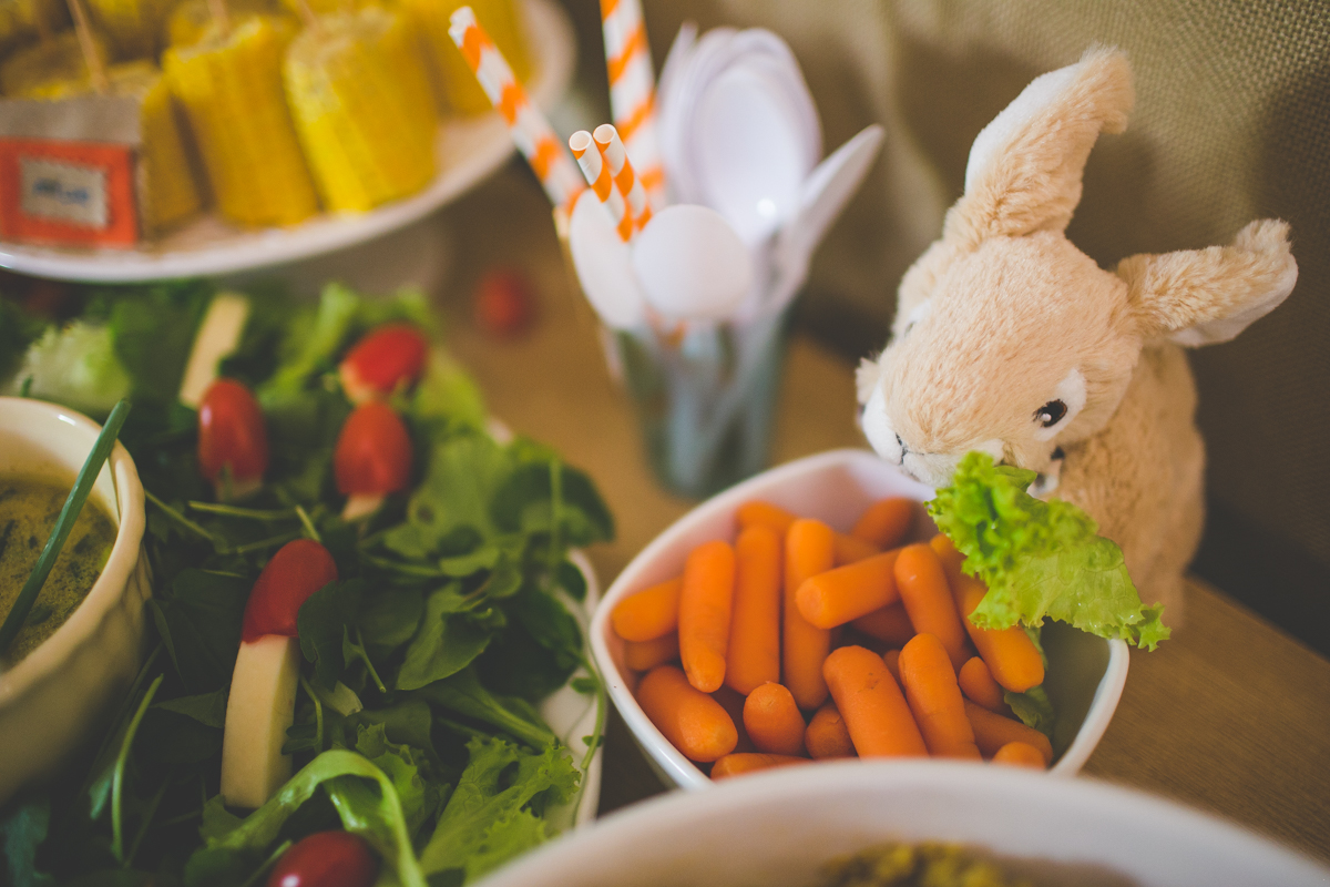 aniversario-infantil-ituverava-tiago-silva-fotografia