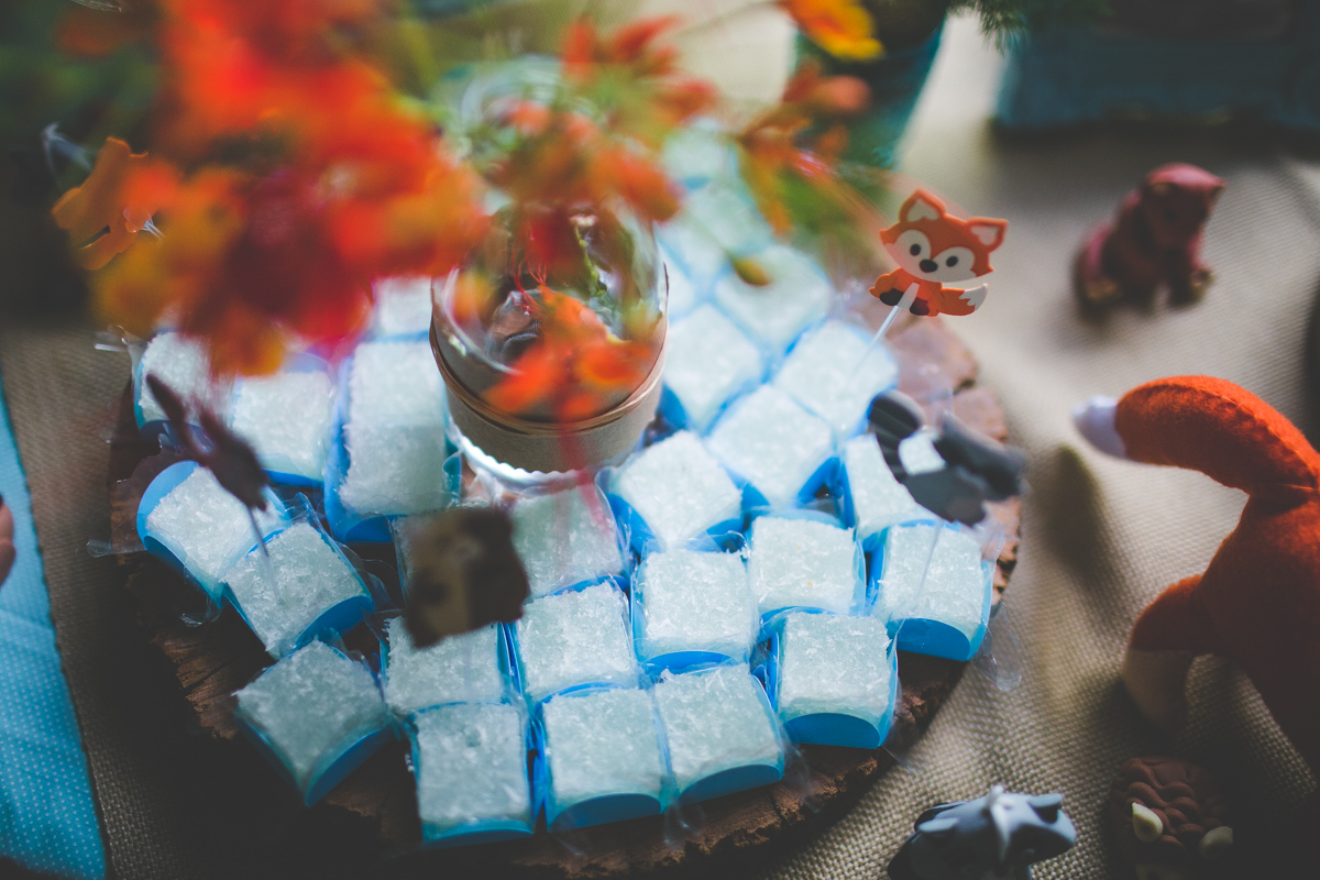 aniversario-infantil-ituverava-tiago-silva-fotografia