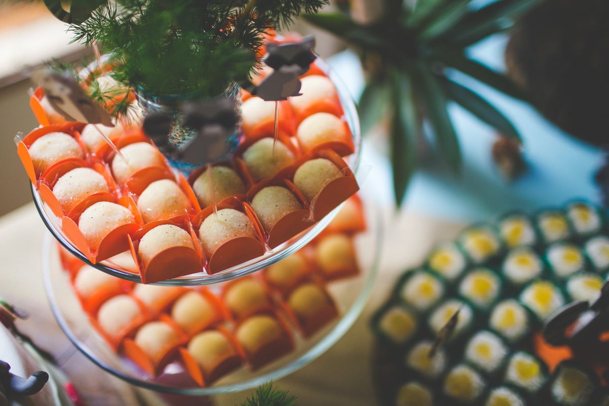 aniversario-infantil-ituverava-tiago-silva-fotografia