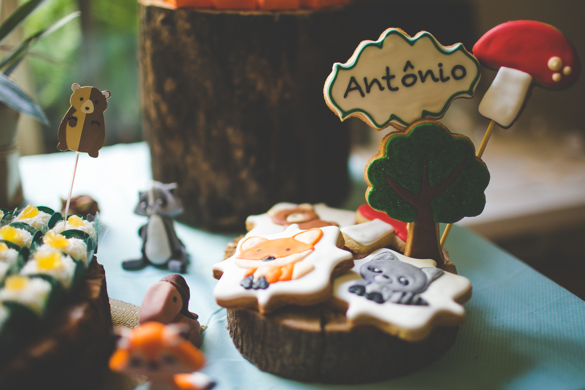 aniversario-infantil-ituverava-tiago-silva-fotografia