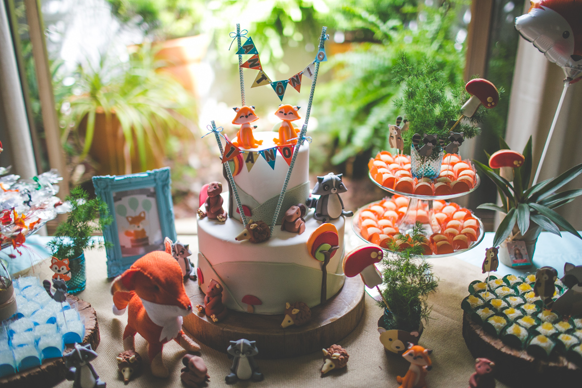 aniversario-infantil-ituverava-tiago-silva-fotografia