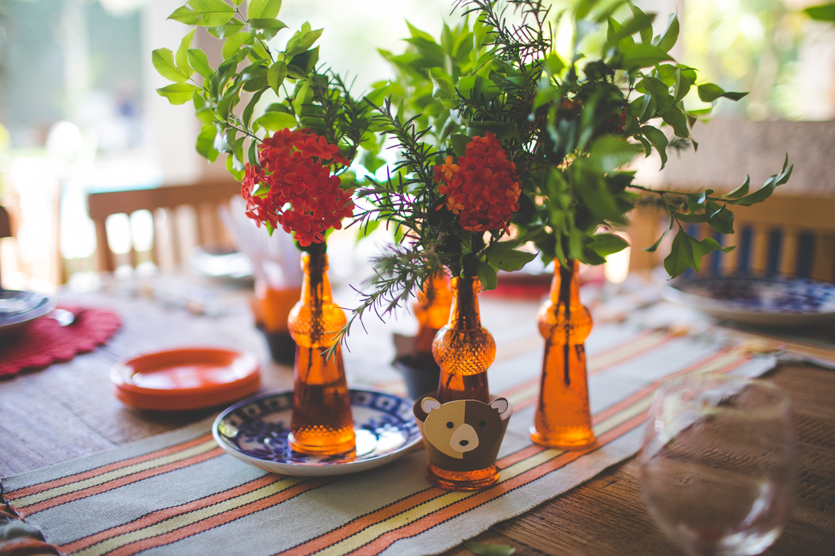 aniversario-infantil-ituverava-tiago-silva-fotografia