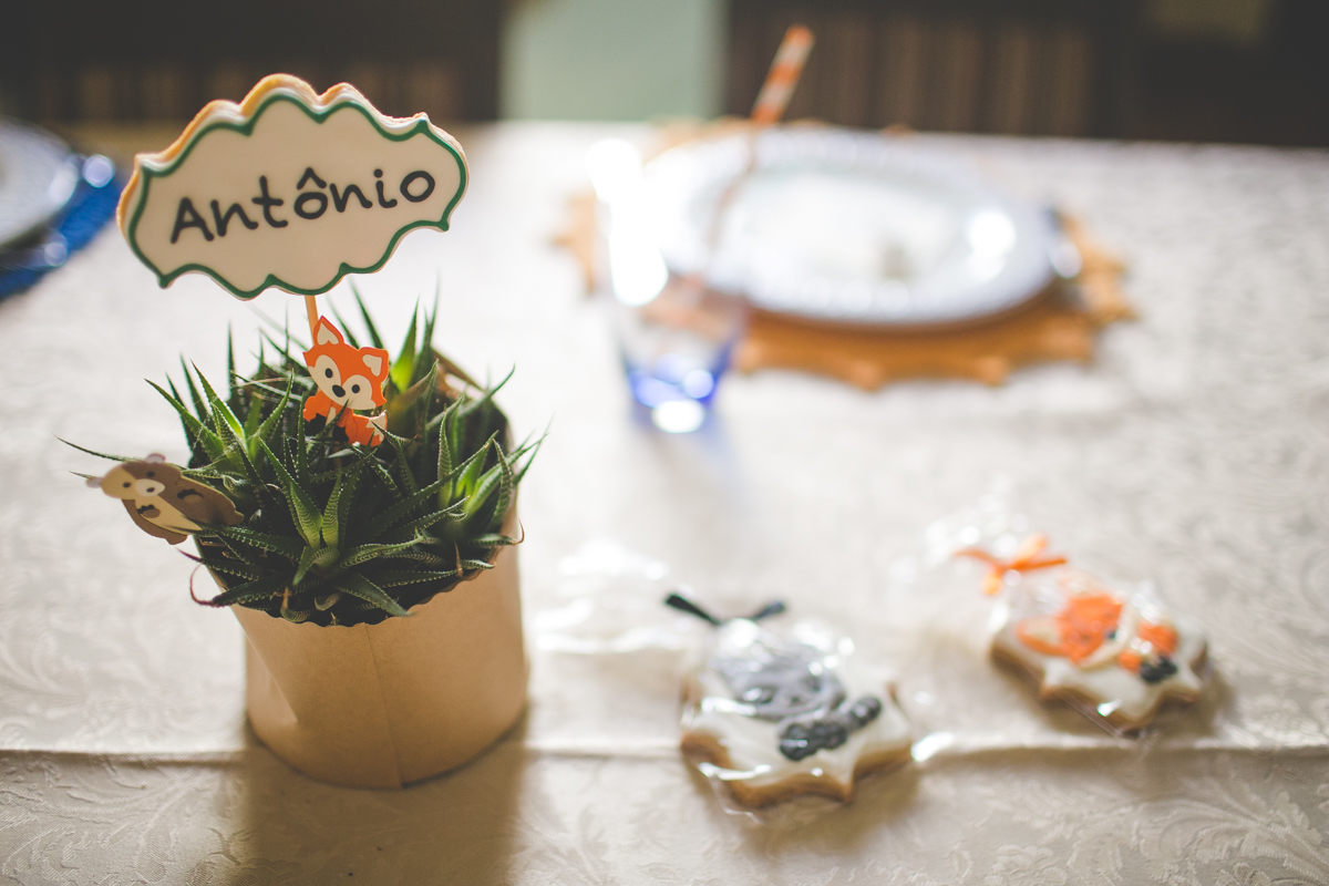 aniversario-infantil-ituverava-tiago-silva-fotografia