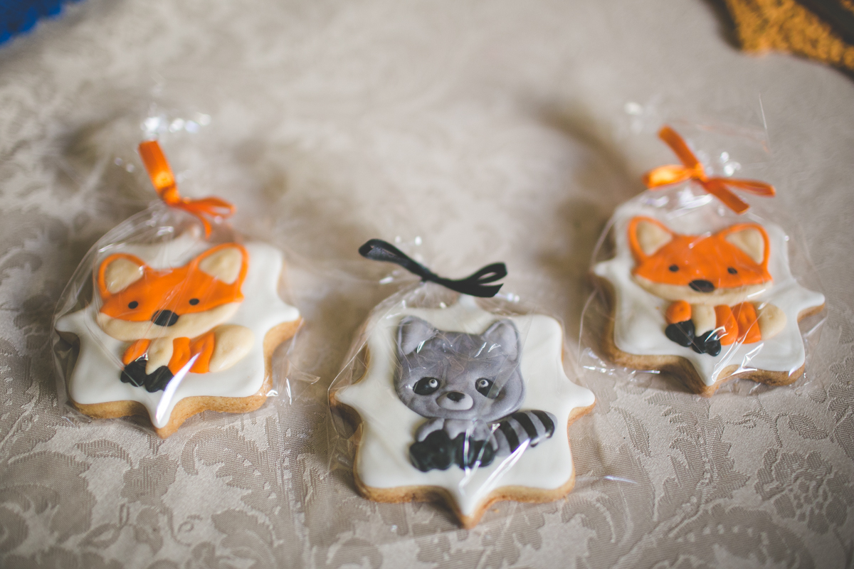 aniversario-infantil-ituverava-tiago-silva-fotografia