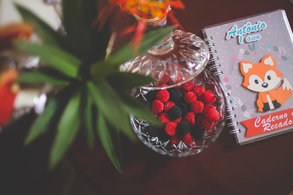 aniversario-infantil-ituverava-tiago-silva-fotografia