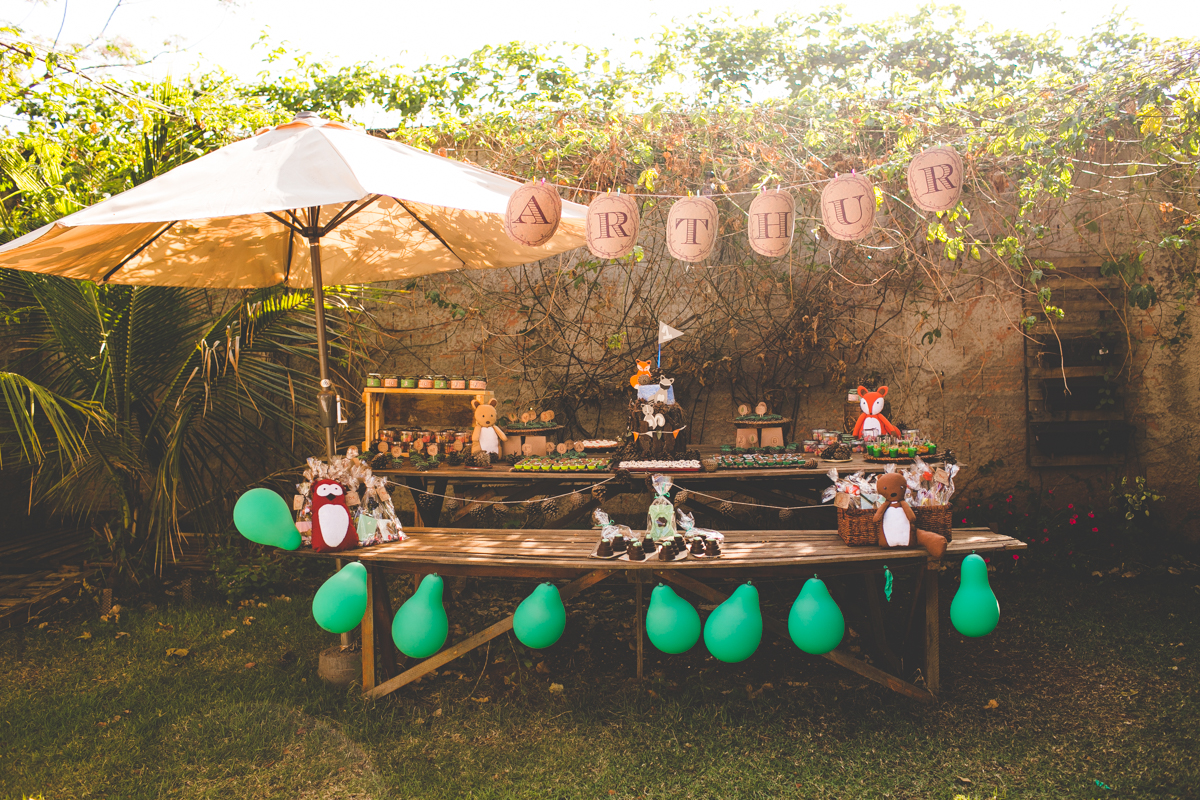 aniversario-infantil-ribeirao-preto-tiagosilva-fotografo-tema-floresta