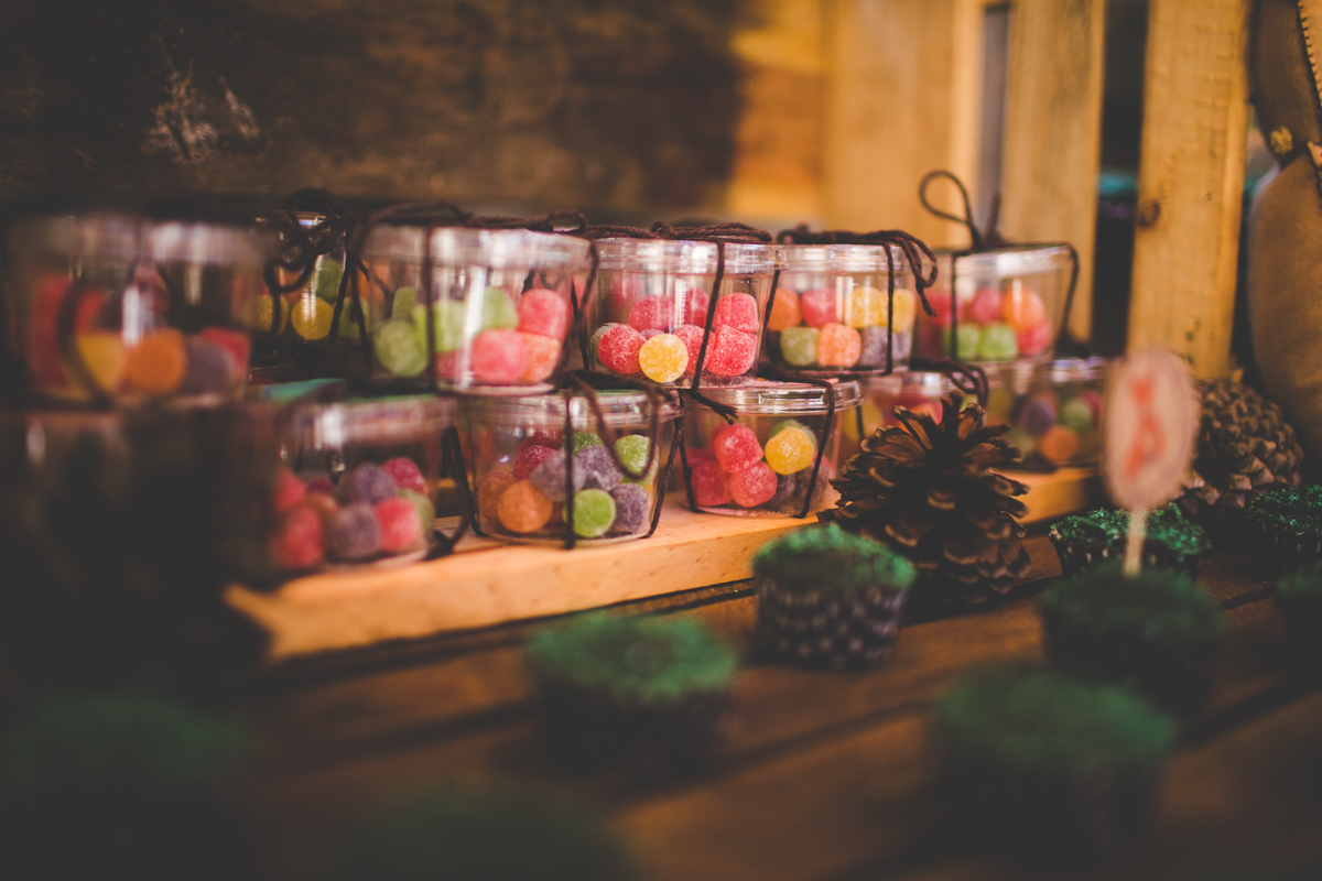 aniversario-infantil-ribeirao-preto-tiagosilva-fotografo-tema-floresta