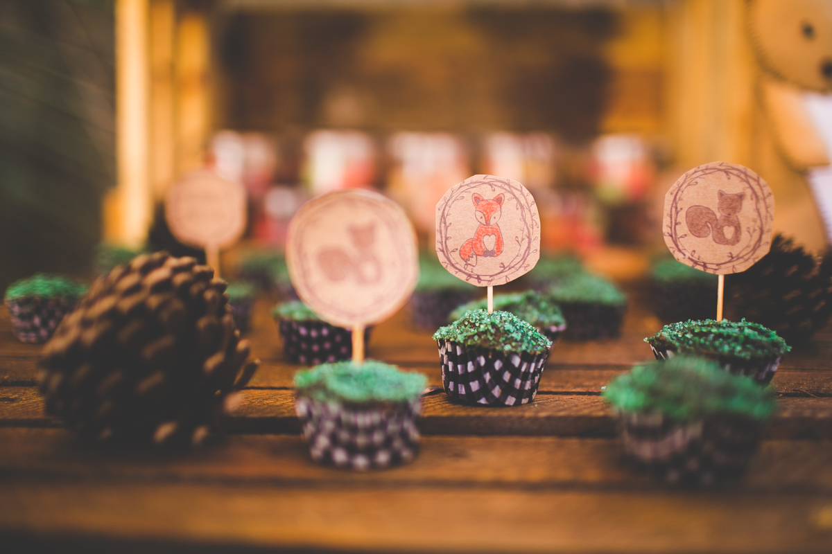 aniversario-infantil-ribeirao-preto-tiagosilva-fotografo-tema-floresta