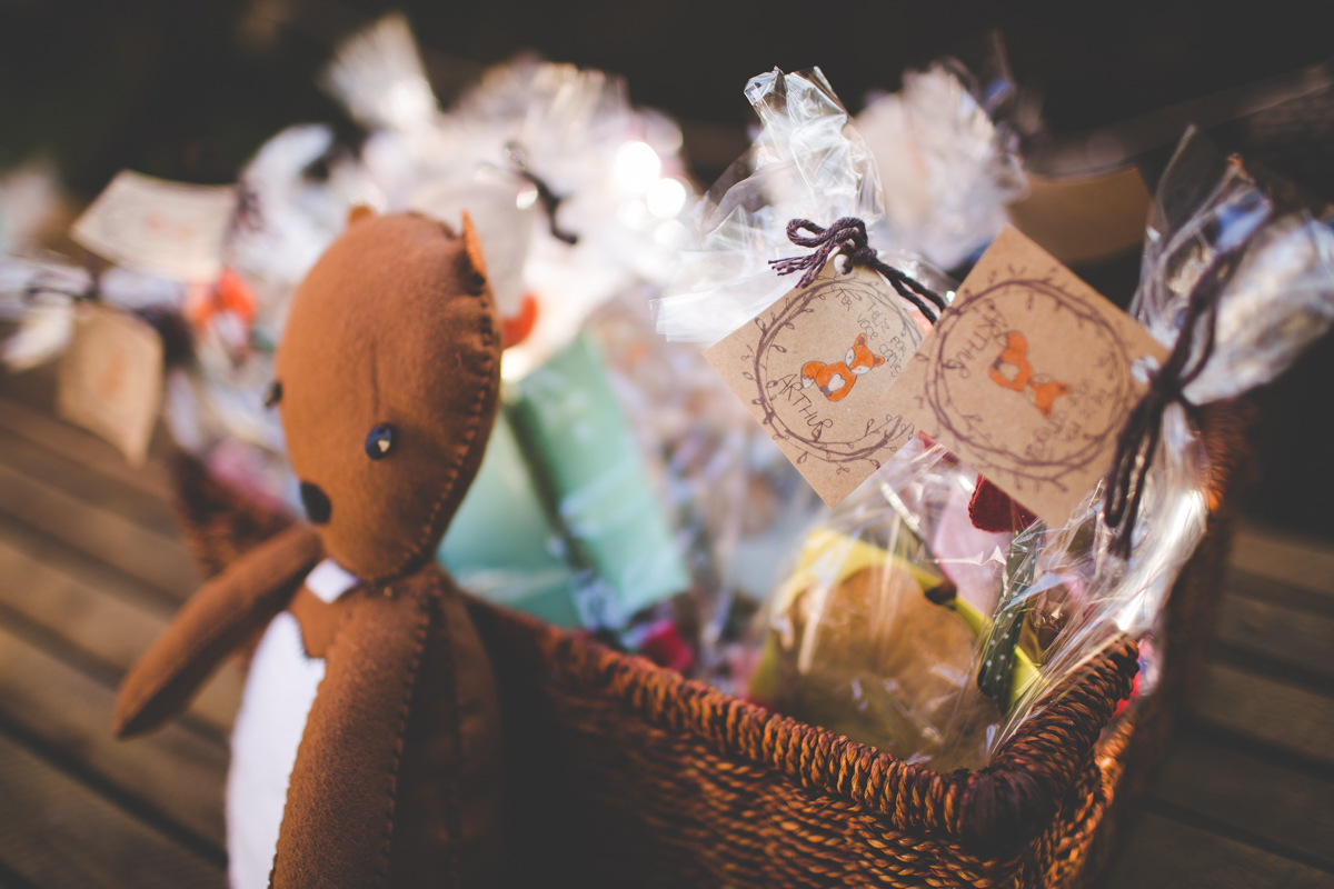 aniversario-infantil-ribeirao-preto-tiagosilva-fotografo-tema-floresta