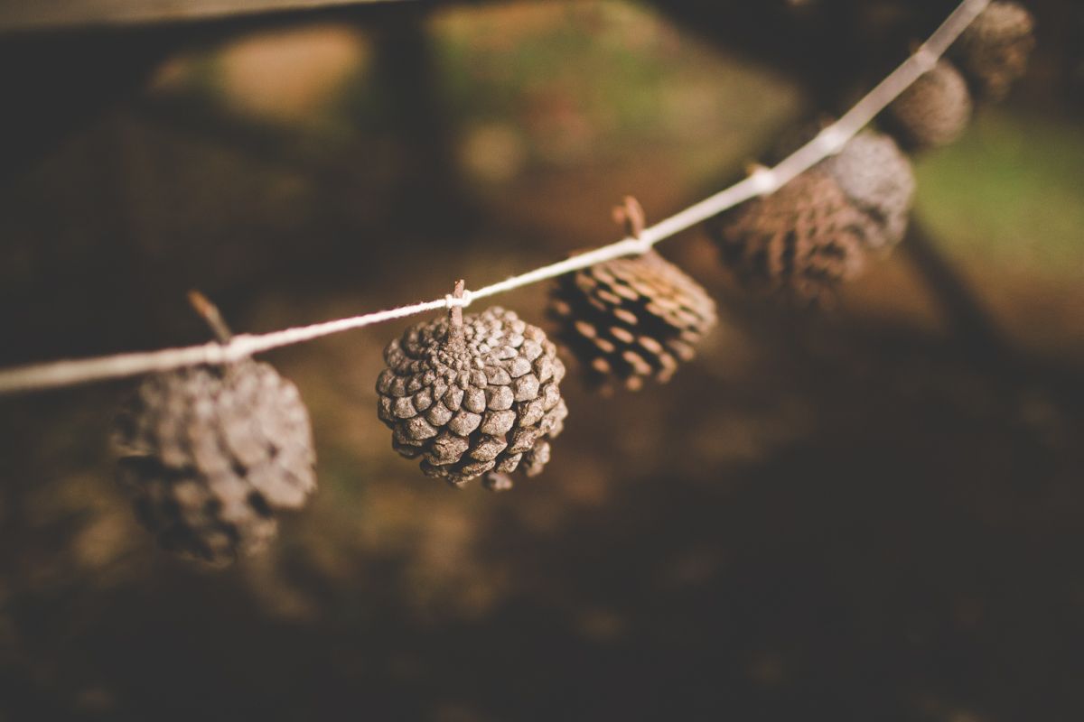 aniversario-infantil-ribeirao-preto-tiagosilva-fotografo-tema-floresta