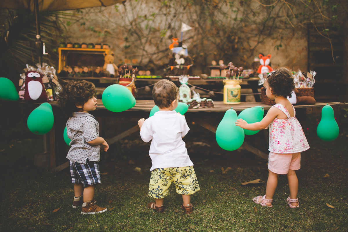 aniversario-infantil-ribeirao-preto-tiagosilva-fotografo-tema-floresta