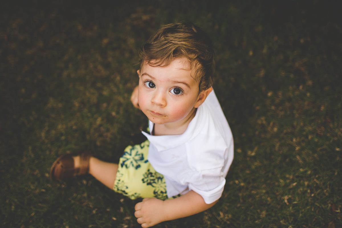 aniversario-infantil-ribeirao-preto-tiagosilva-fotografo-tema-floresta