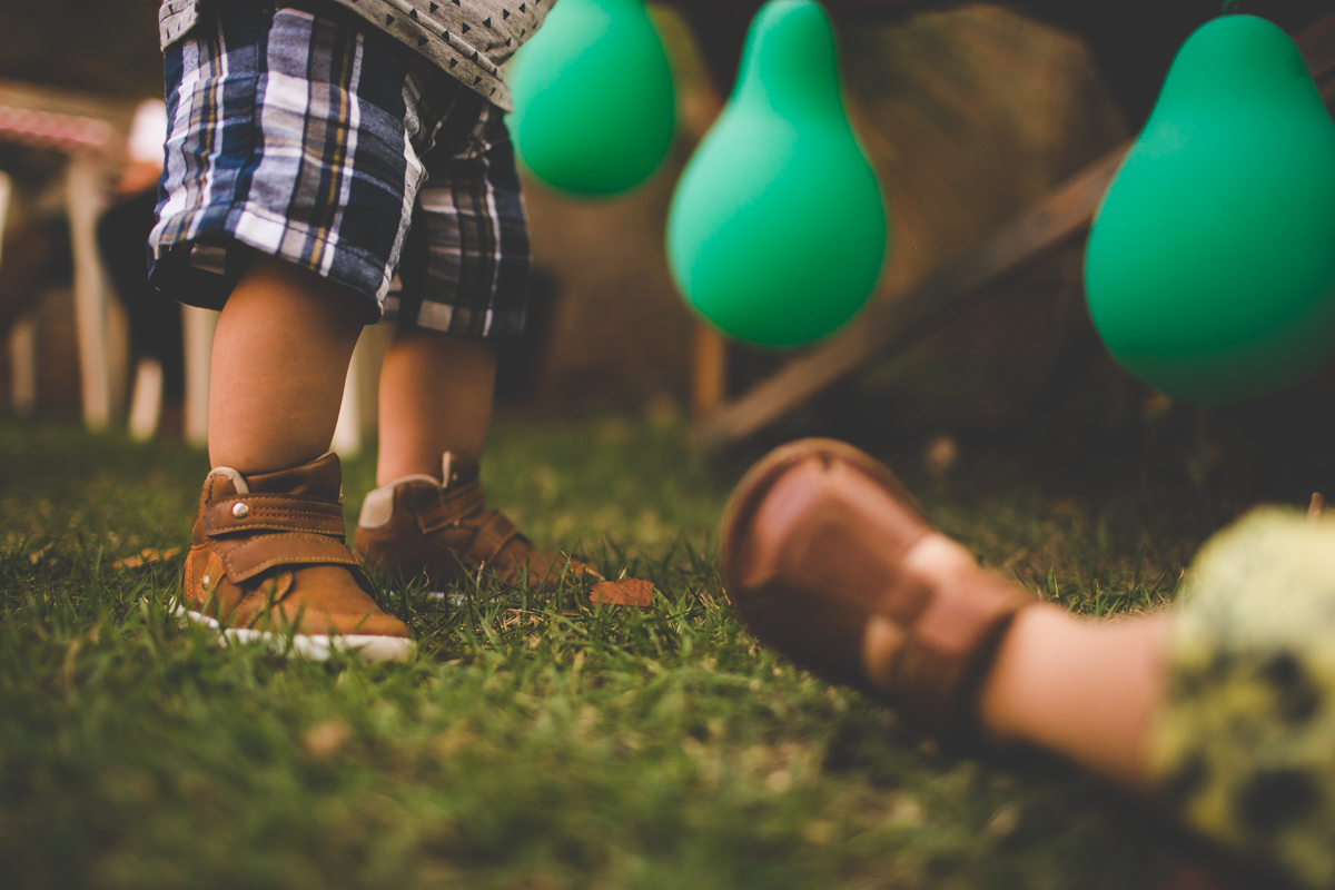 aniversario-infantil-ribeirao-preto-tiagosilva-fotografo-tema-floresta