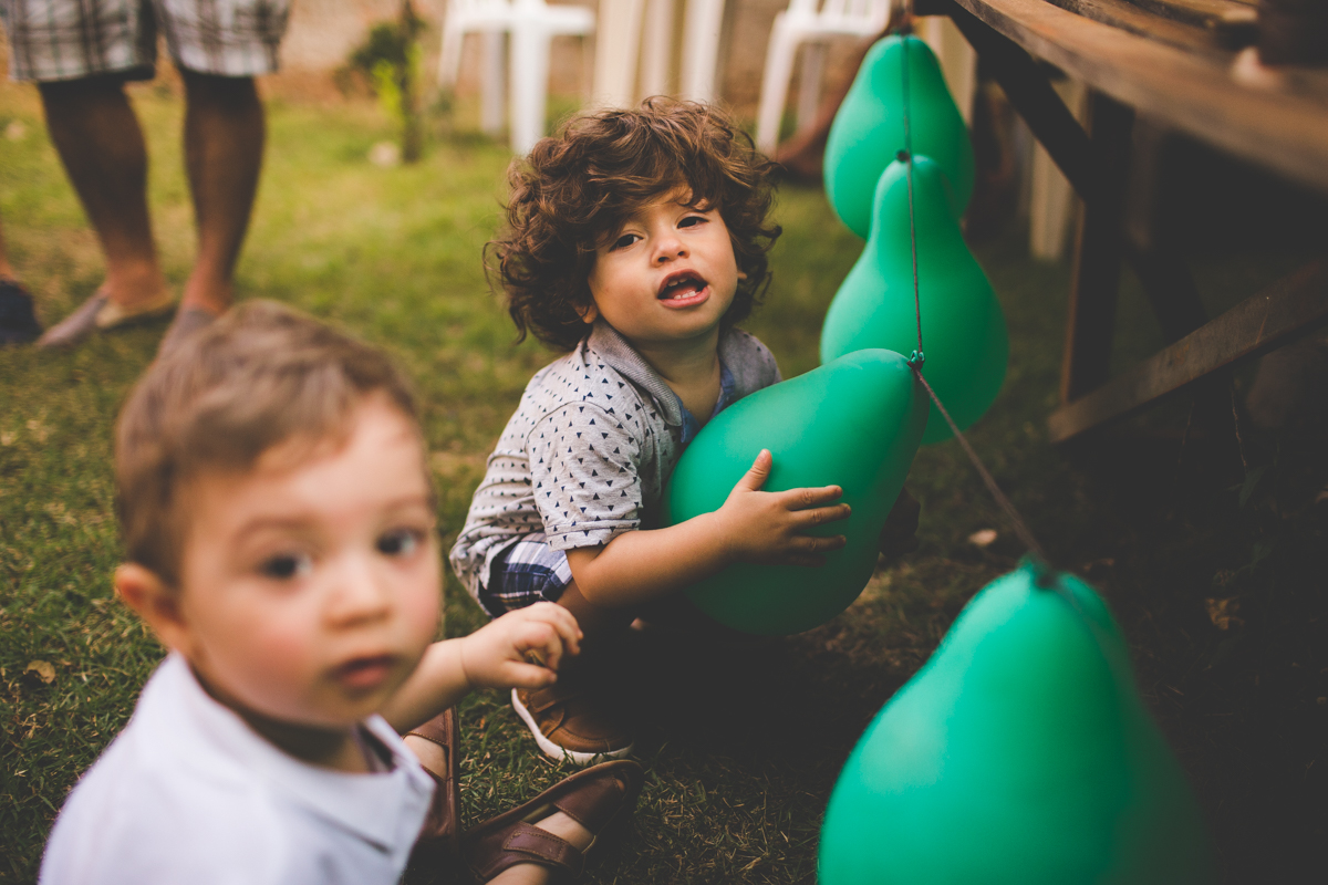aniversario-infantil-ribeirao-preto-tiagosilva-fotografo-tema-floresta