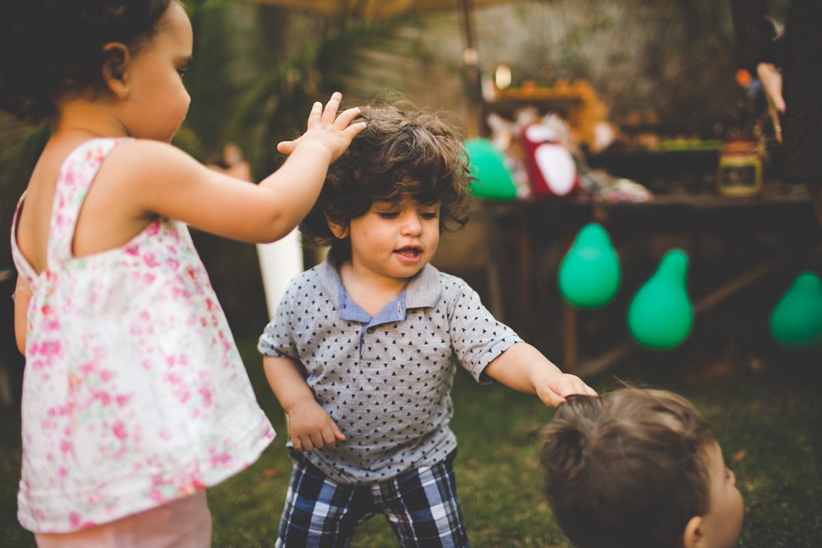 aniversario-infantil-ribeirao-preto-tiagosilva-fotografo-tema-floresta