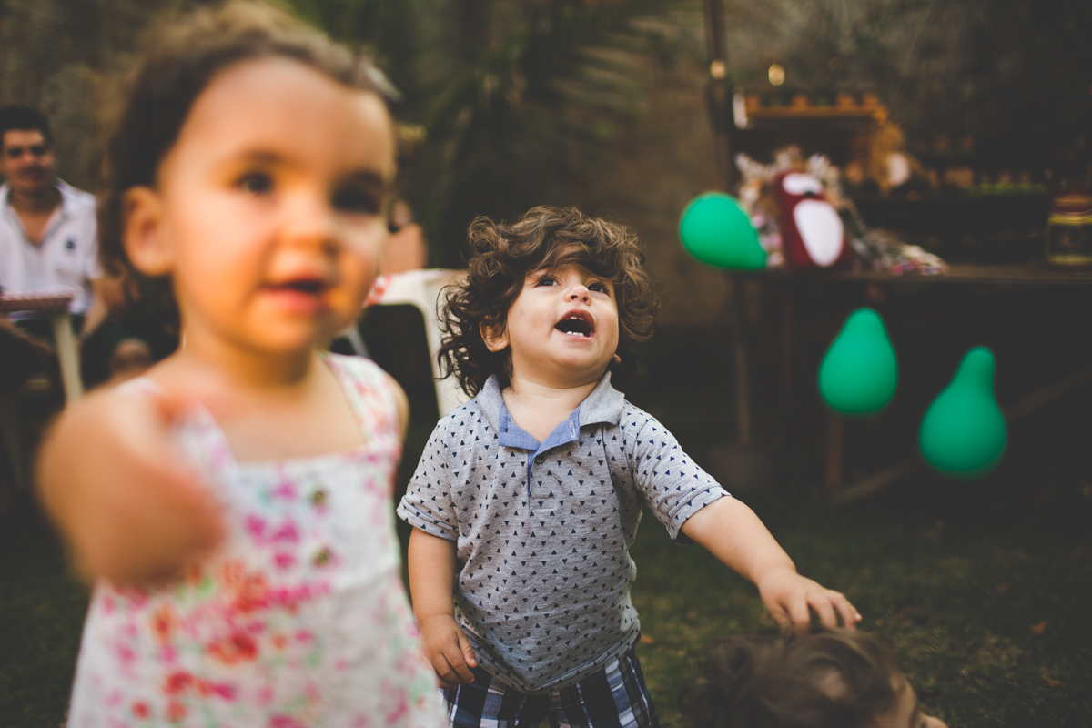 aniversario-infantil-ribeirao-preto-tiagosilva-fotografo-tema-floresta