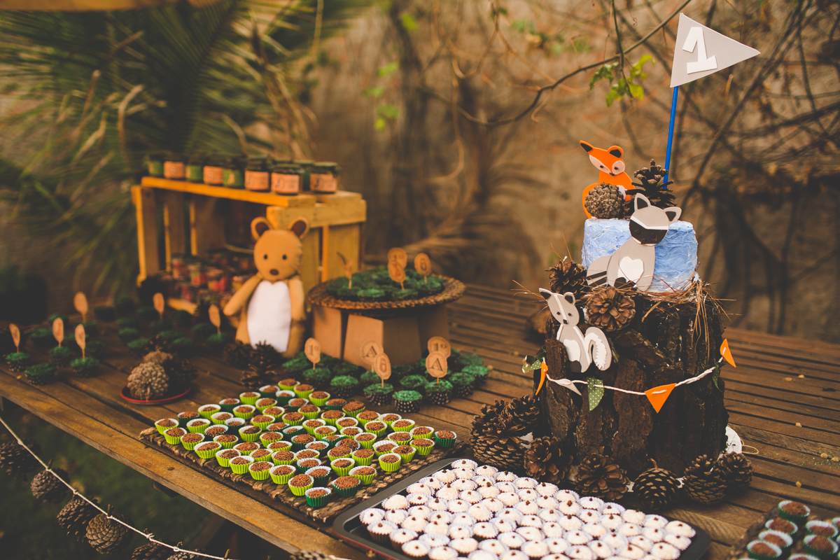 aniversario-infantil-ribeirao-preto-tiagosilva-fotografo-tema-floresta
