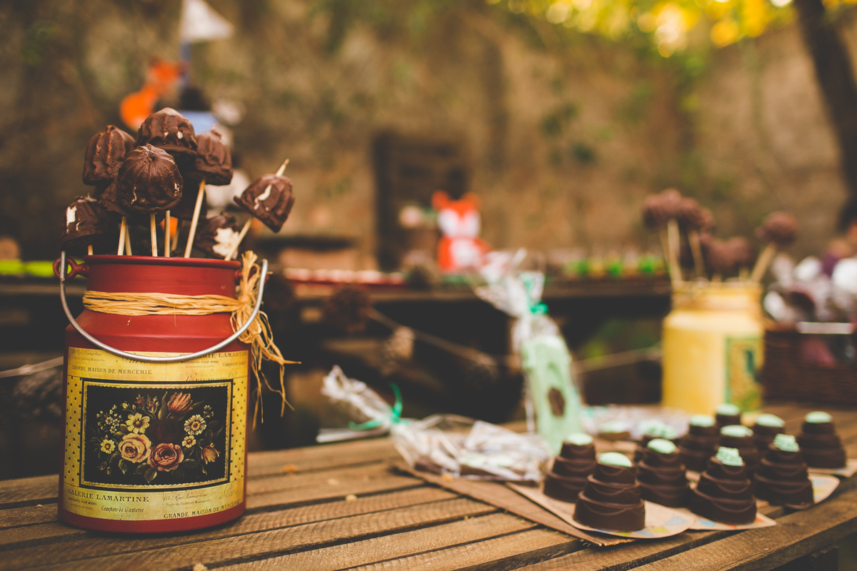 aniversario-infantil-ribeirao-preto-tiagosilva-fotografo-tema-floresta