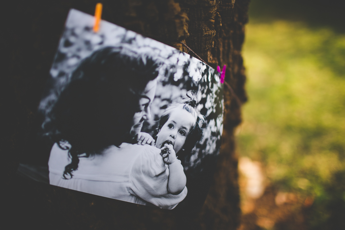 aniversario-infantil-ribeirao-preto-tiagosilva-fotografo-tema-floresta