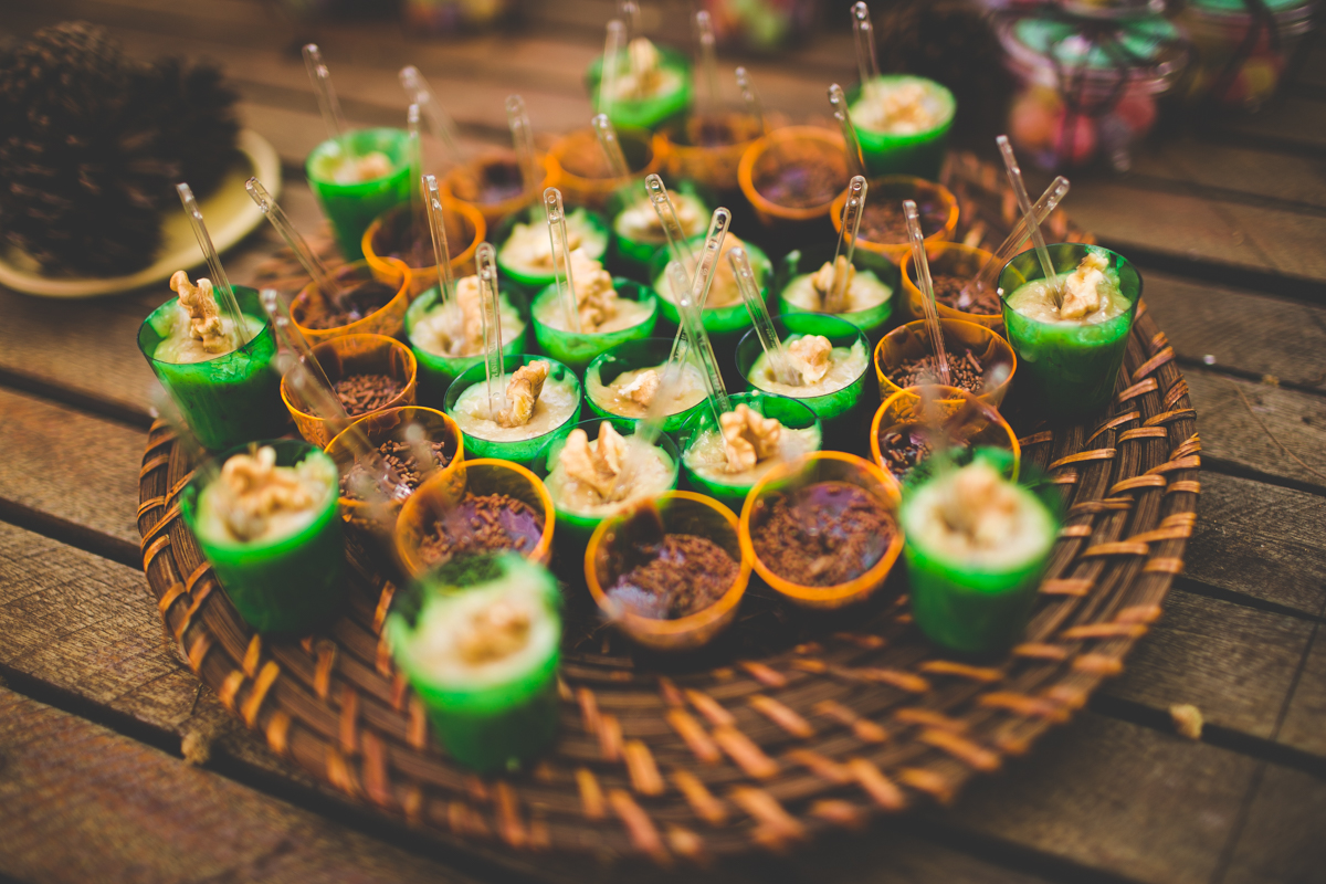 aniversario-infantil-ribeirao-preto-tiagosilva-fotografo-tema-floresta