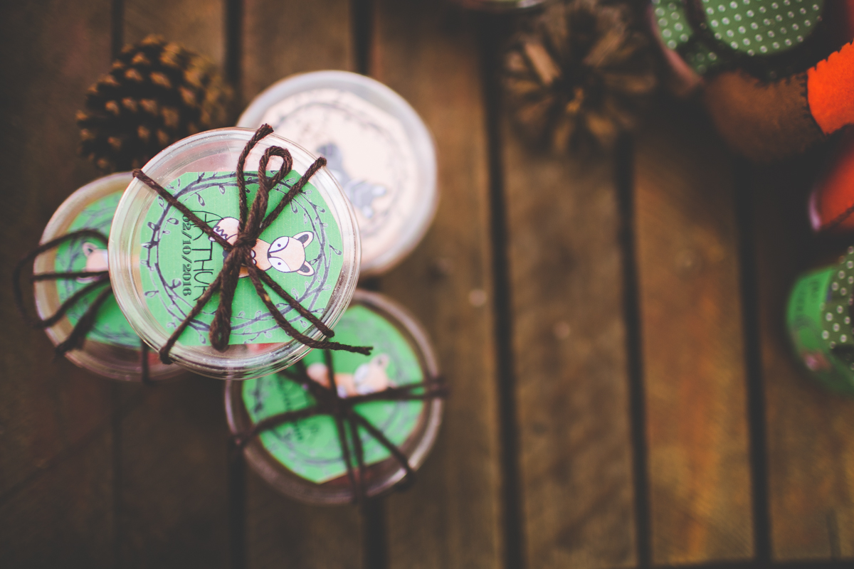 aniversario-infantil-ribeirao-preto-tiagosilva-fotografo-tema-floresta