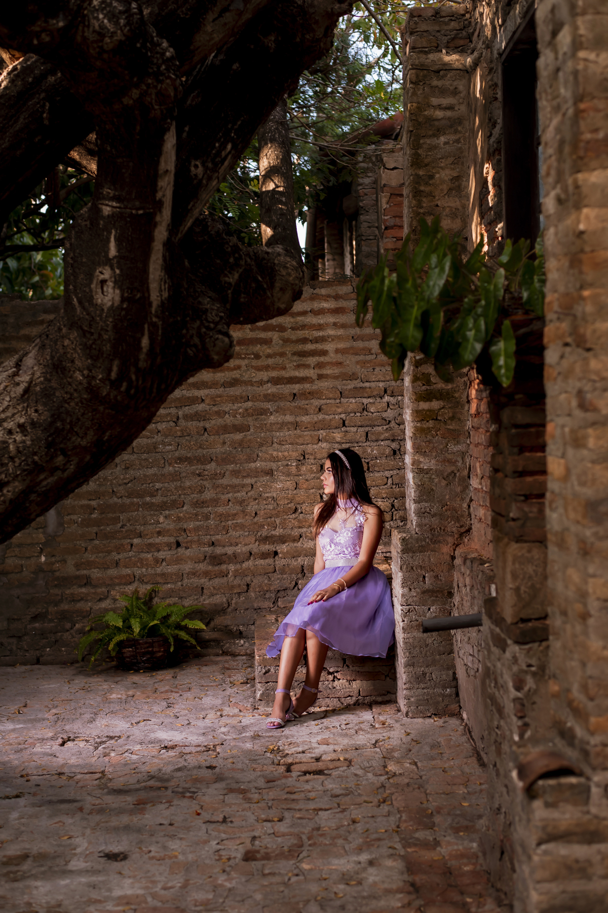 Ensaio fotográfico 15 anos