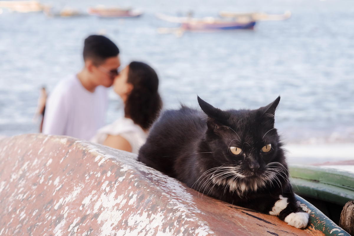 Ensaio fotográfico casamento Beira mar Fortaleza