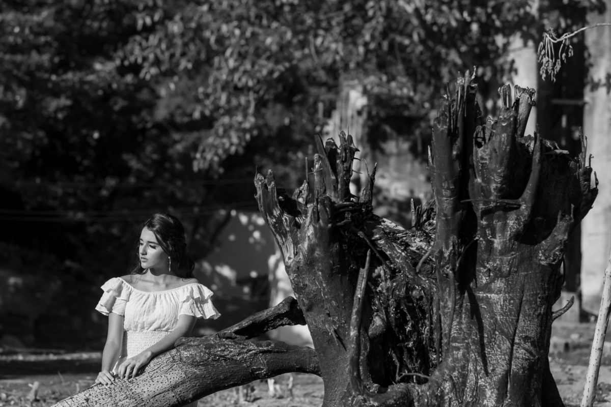 Ensaio 15 anos engenhoca