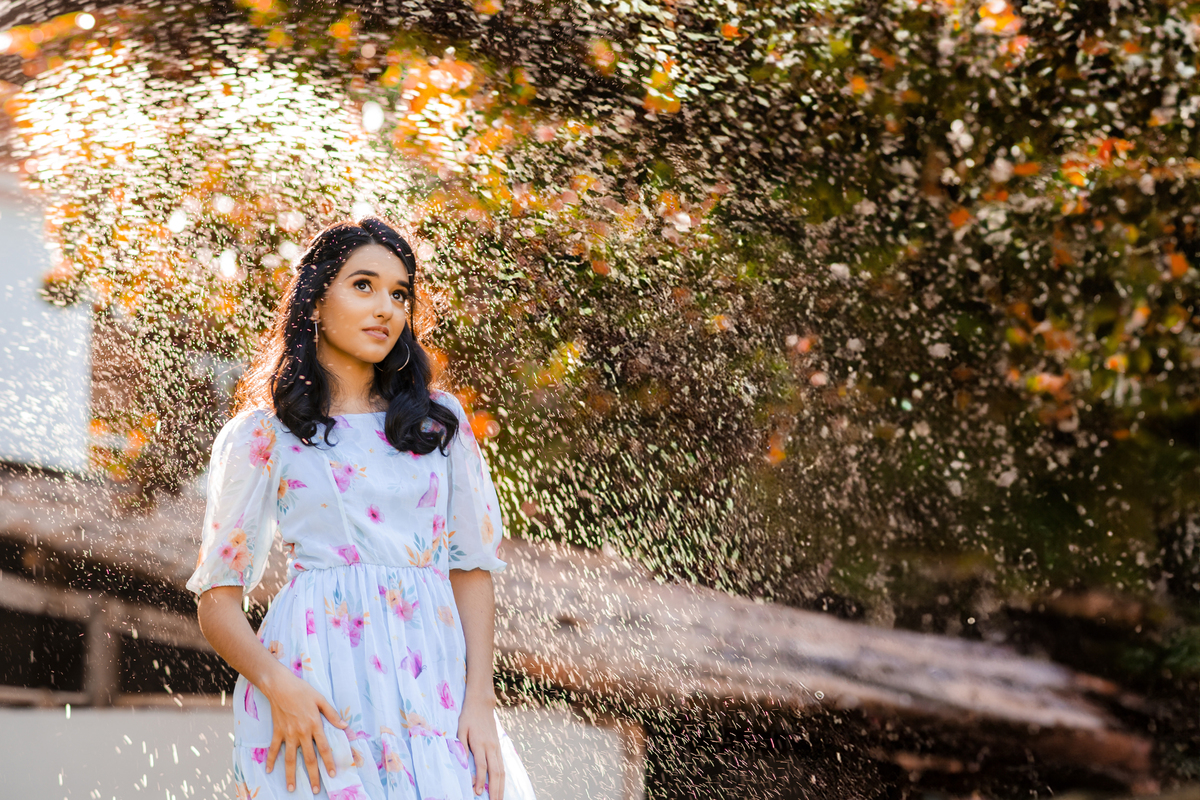 Ensaio 15 anos engenhoca