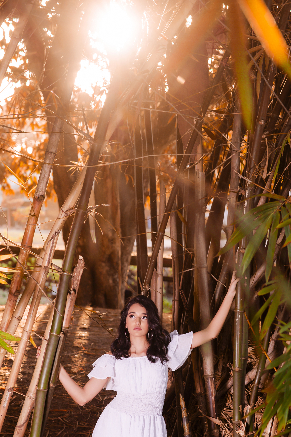 Ensaio 15 anos engenhoca