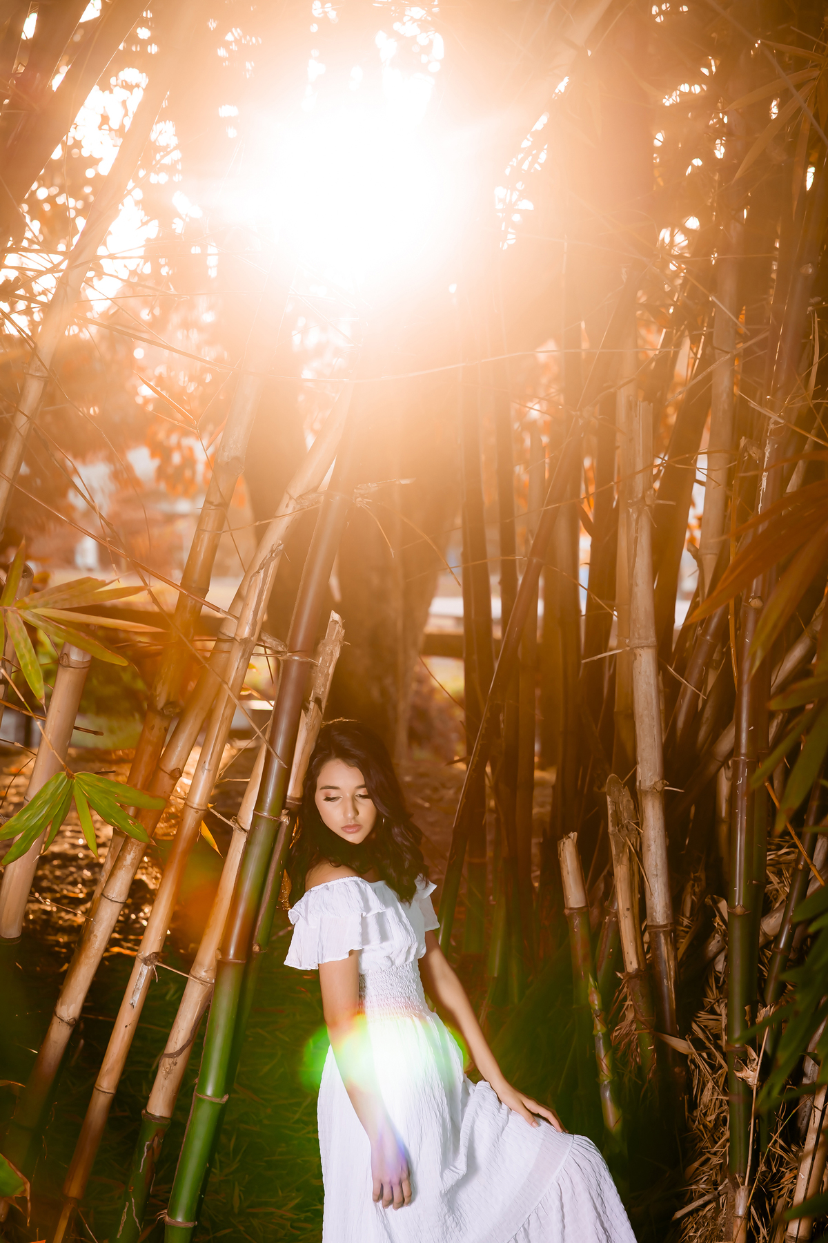 Ensaio debutante no campo