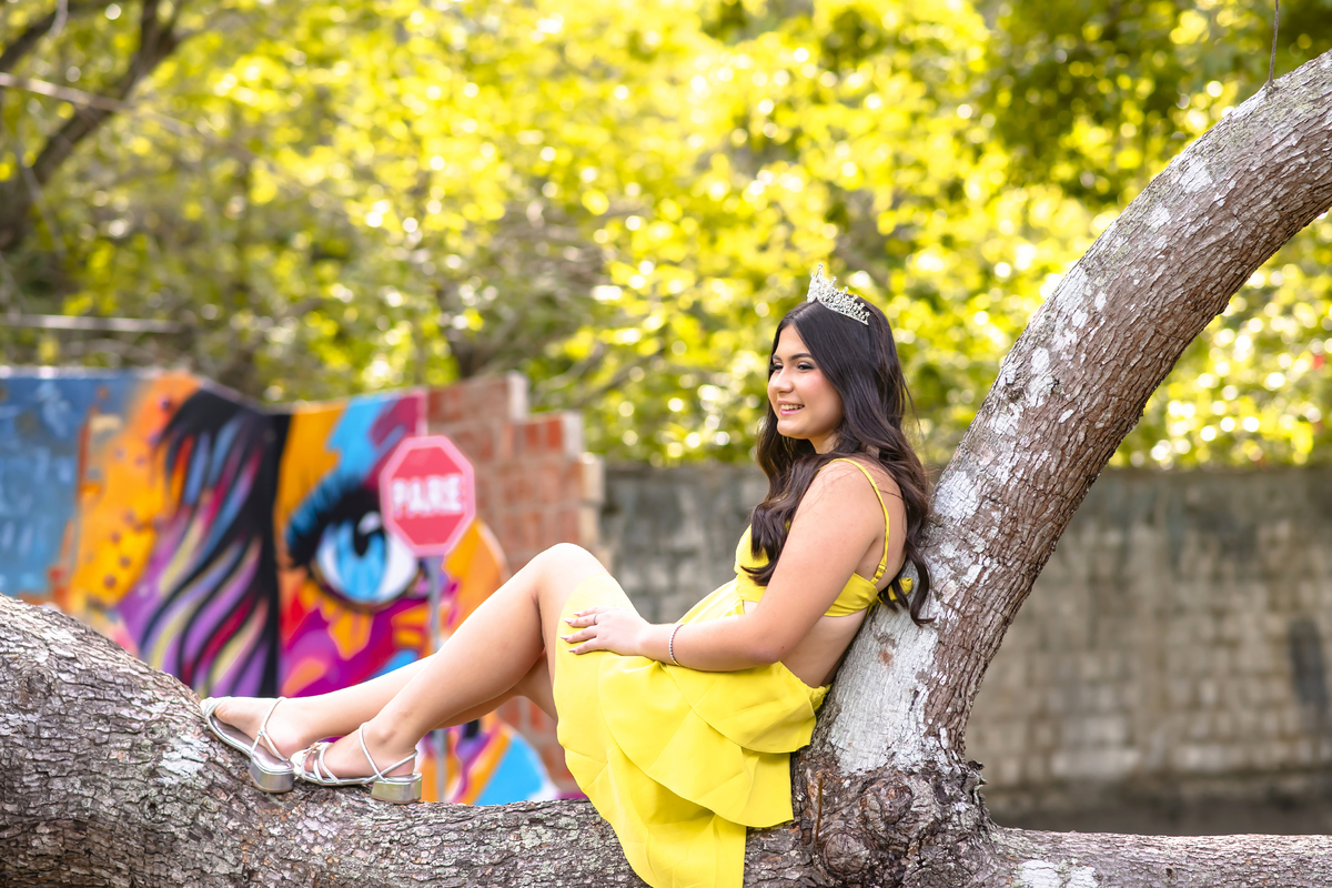 Ensaio debutante Fortaleza