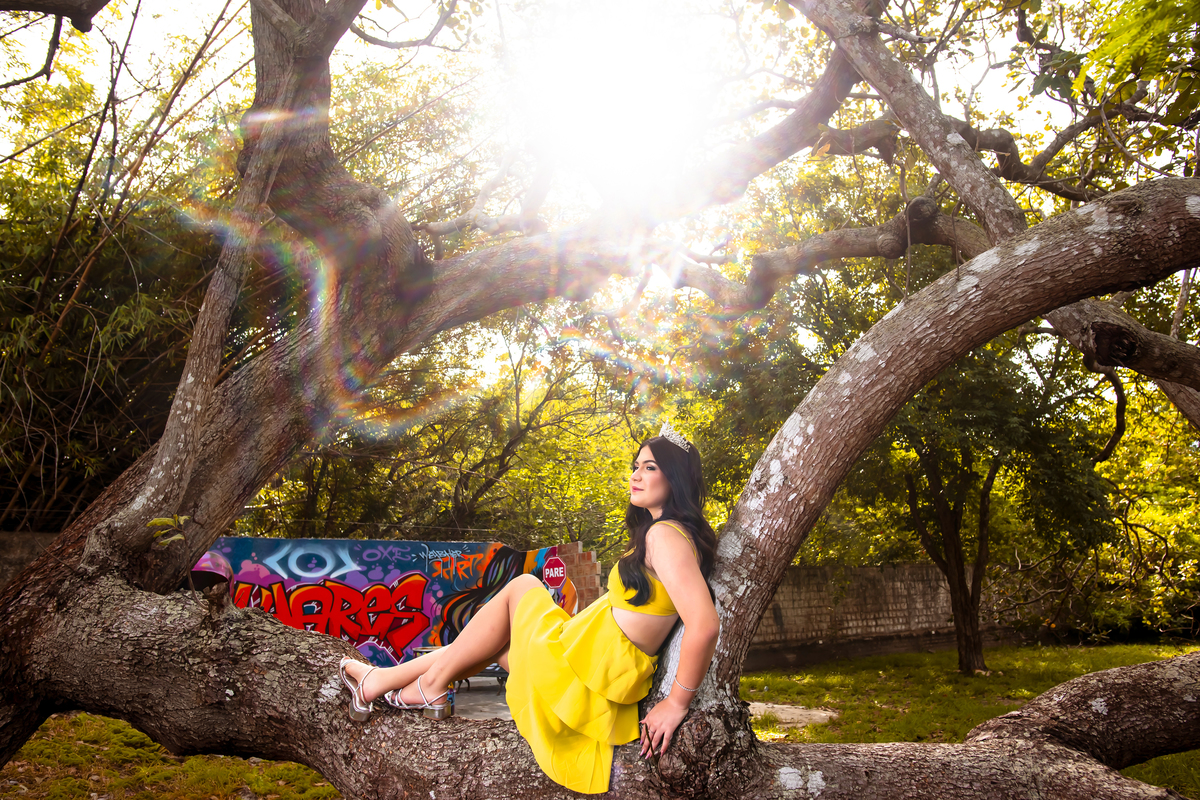 Ensaio 15 anos no campo