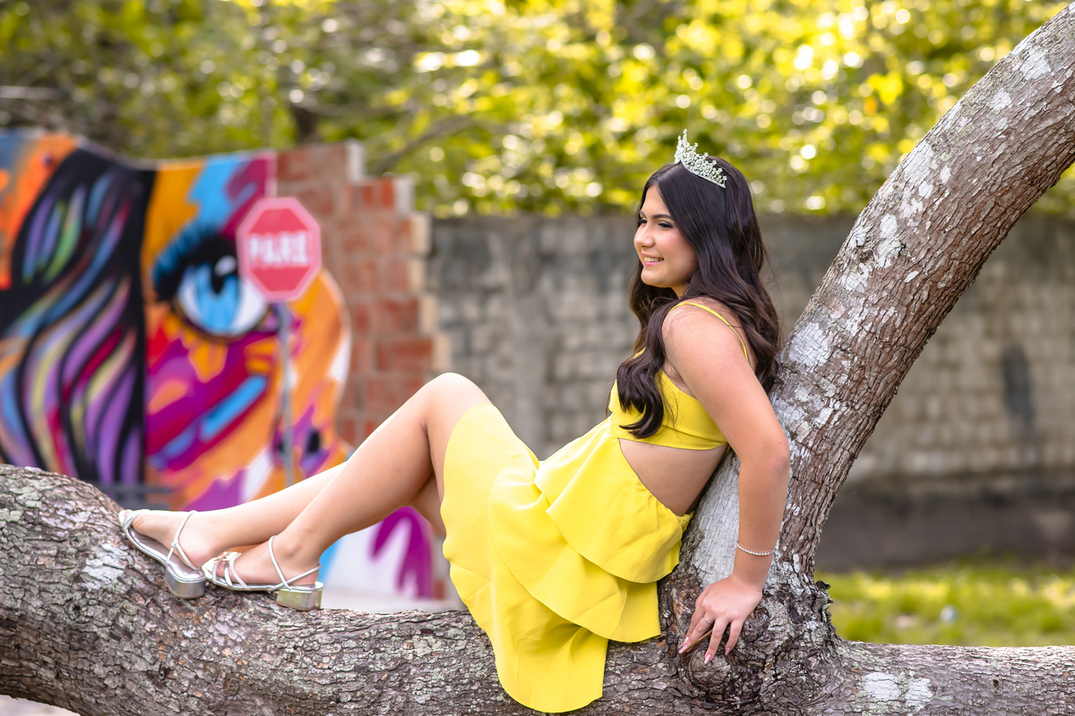 Ensaio debutante Fortaleza