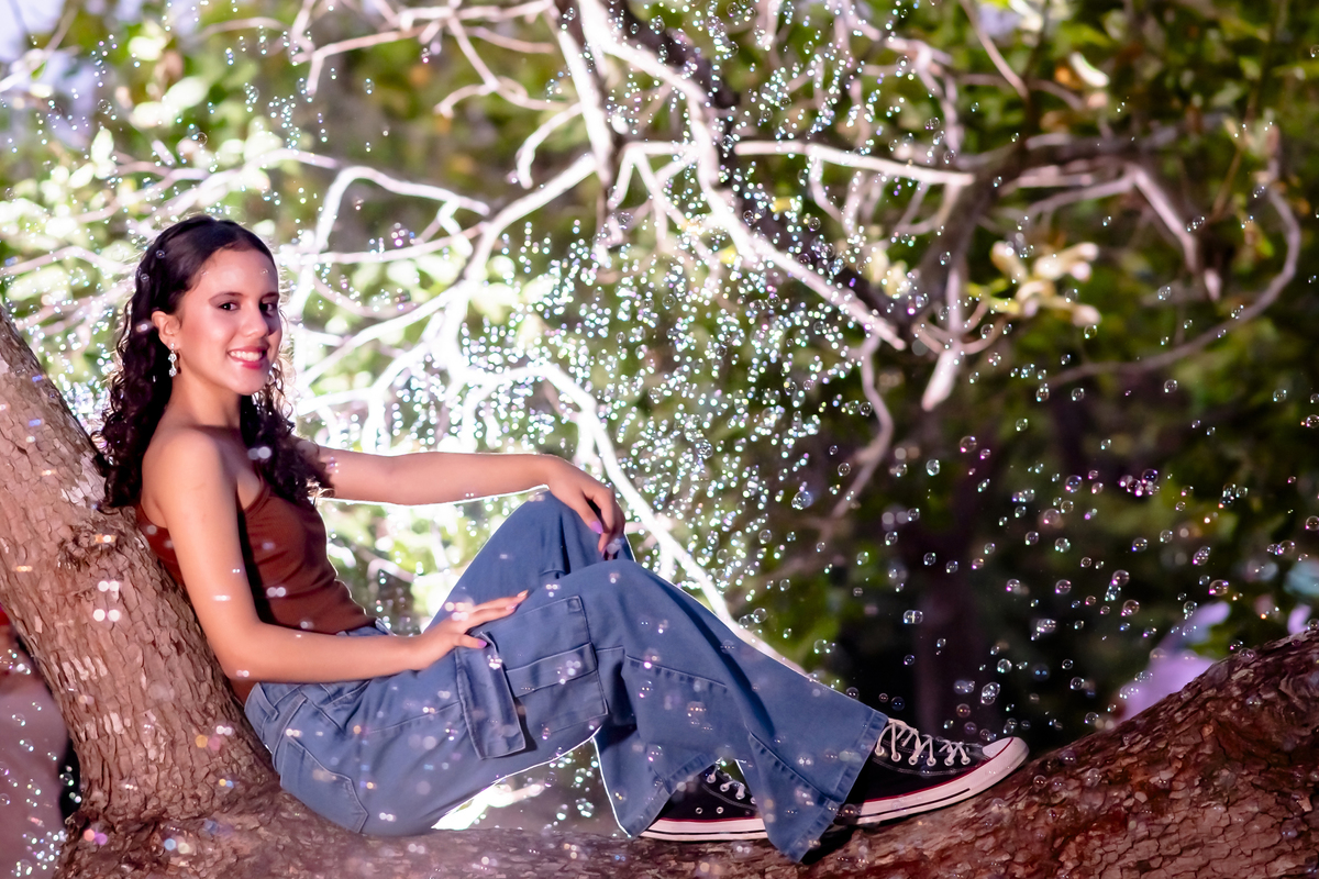 Ensaio fotográfico 15 anos no sitio Olhares 