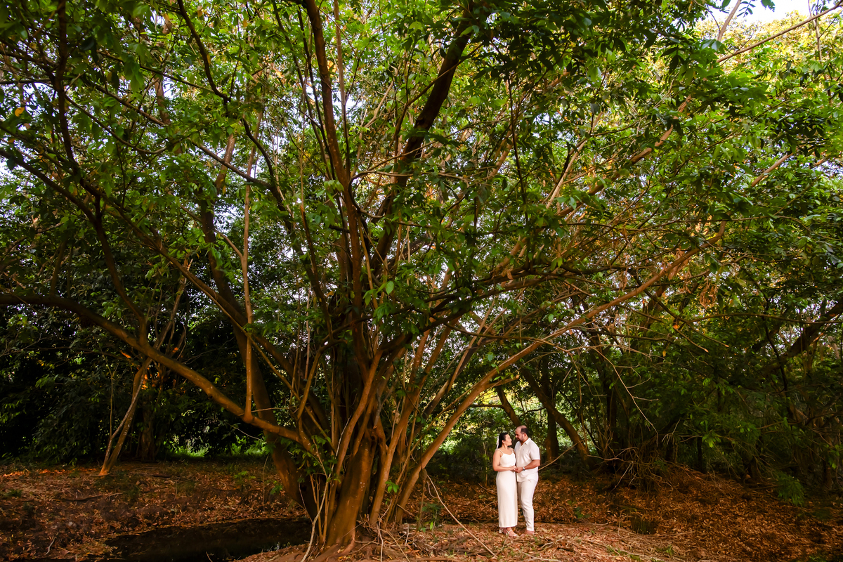 Ensaio na fazenda Terra do Sol