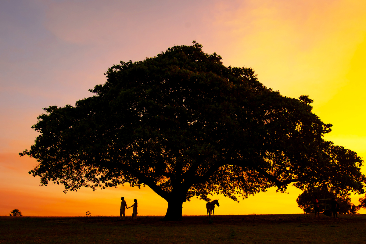 Ensaio na fazenda Terra do Sol
