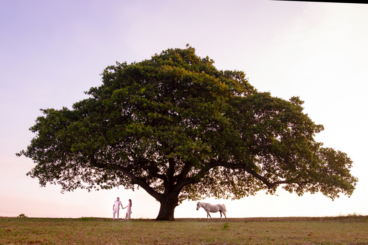 Ensaio na fazenda Terra do Sol