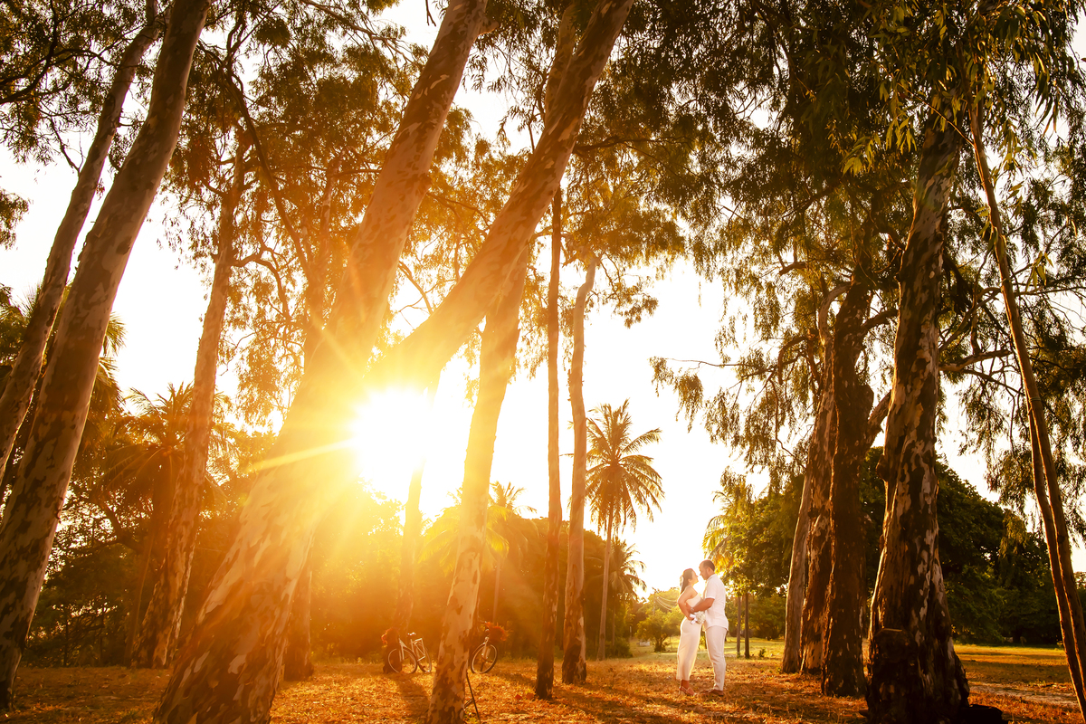 Ensaio na fazenda Terra do Sol