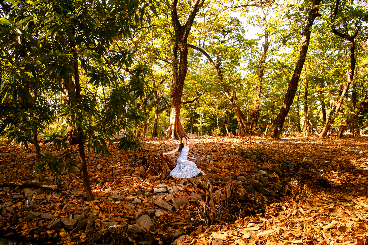 Ensaio fotográfico 15 anos