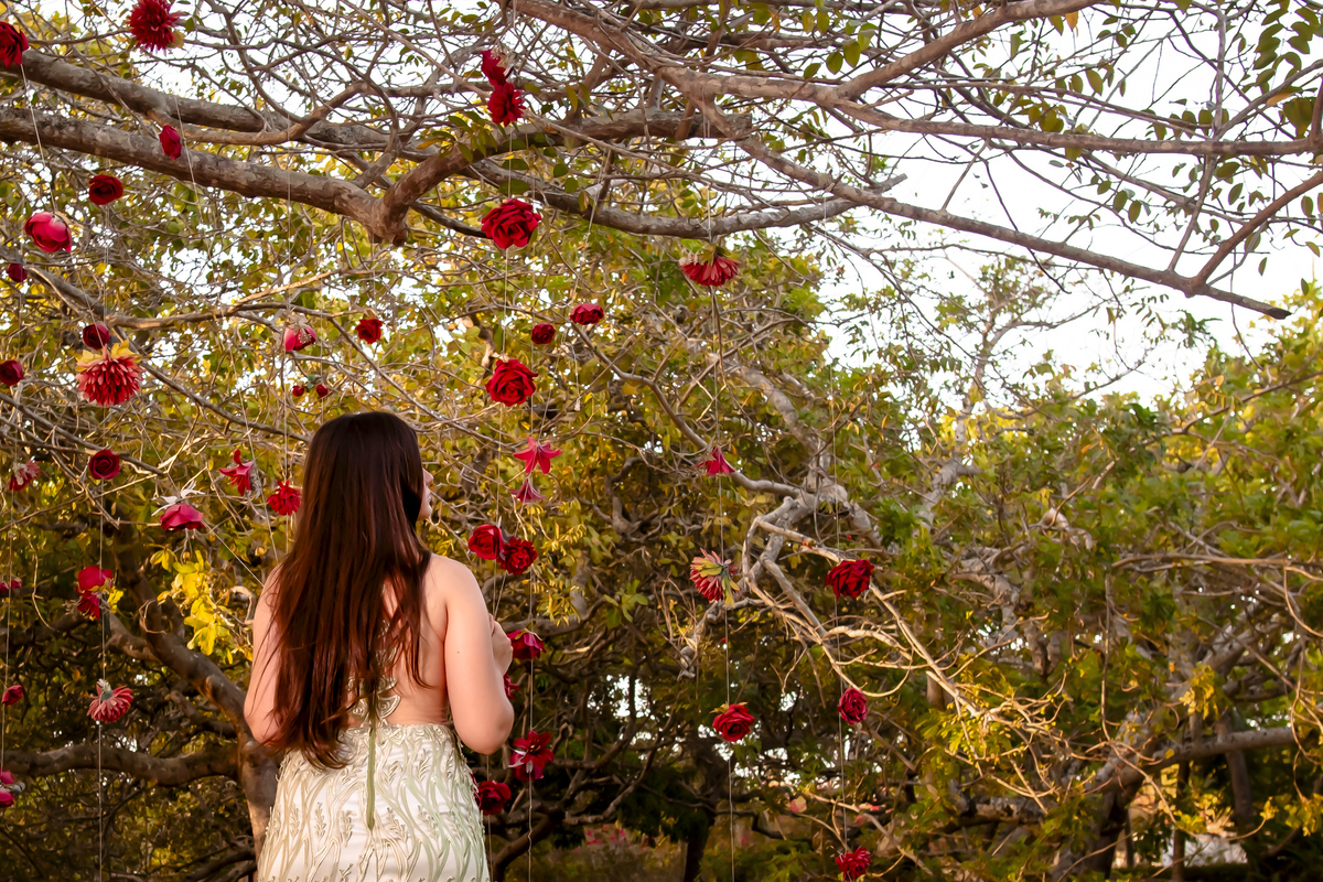 Ensaio debutante Fortaleza
