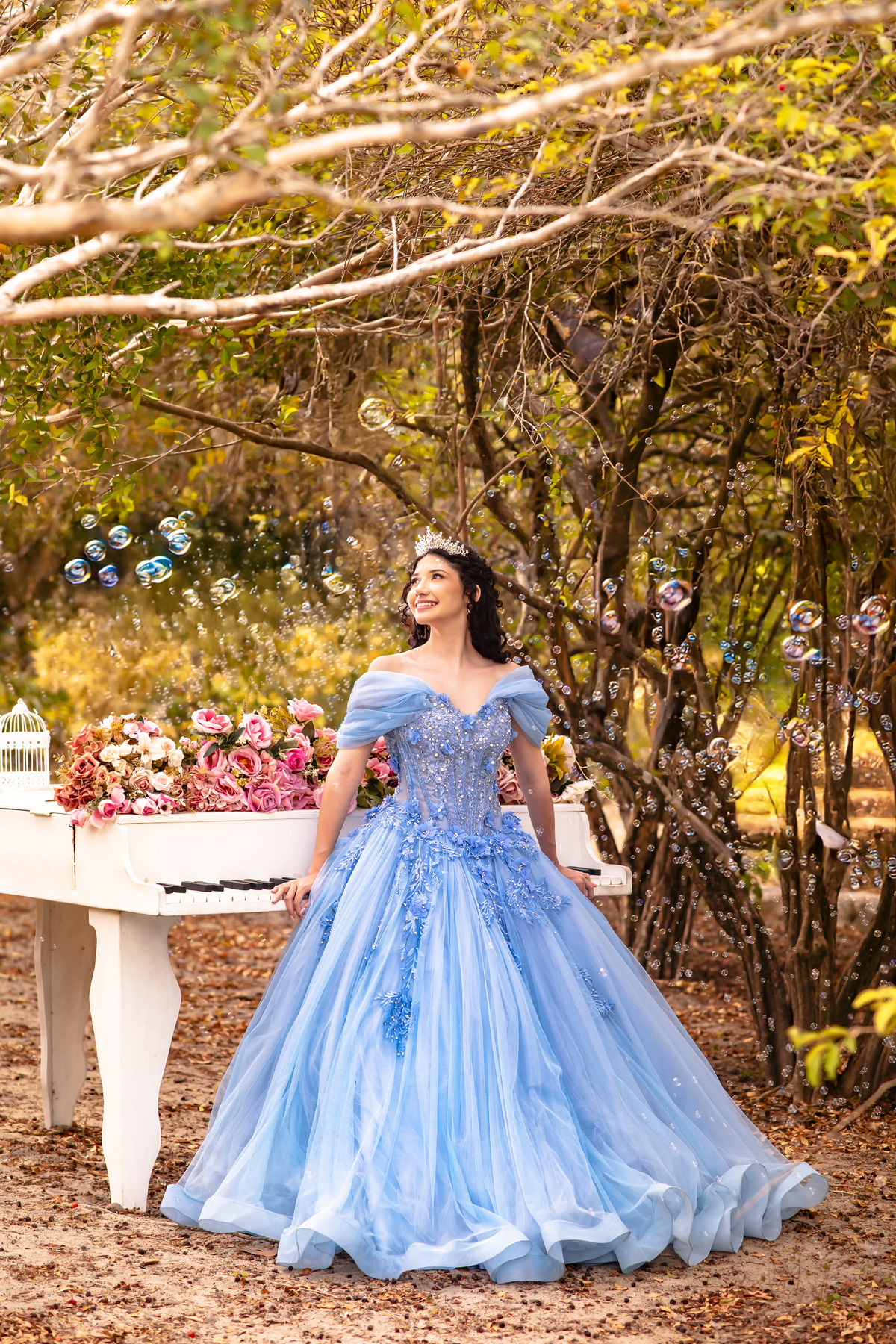 Ensaio fotográfico 15 anos no sitio Olhares