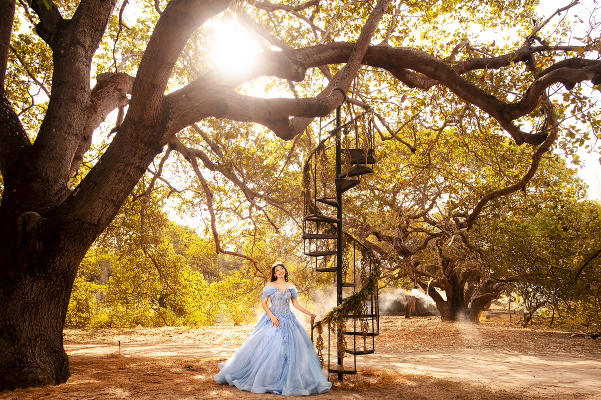 Ensaio fotográfico 15 anos no sitio Olhares