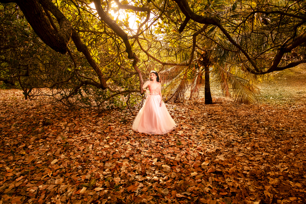 Ensaio fotográfico 15 anos no sitio Olhares