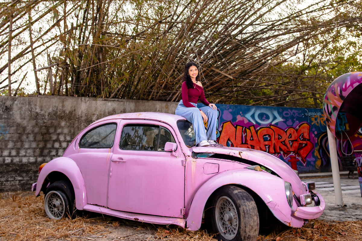 Ensaio fotográfico 15 anos no sitio Olhares