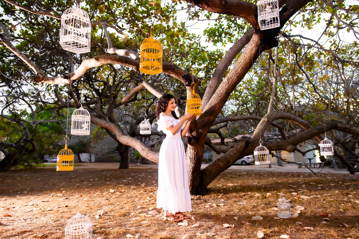 Ensaio fotográfico 15 anos no sitio Olhares