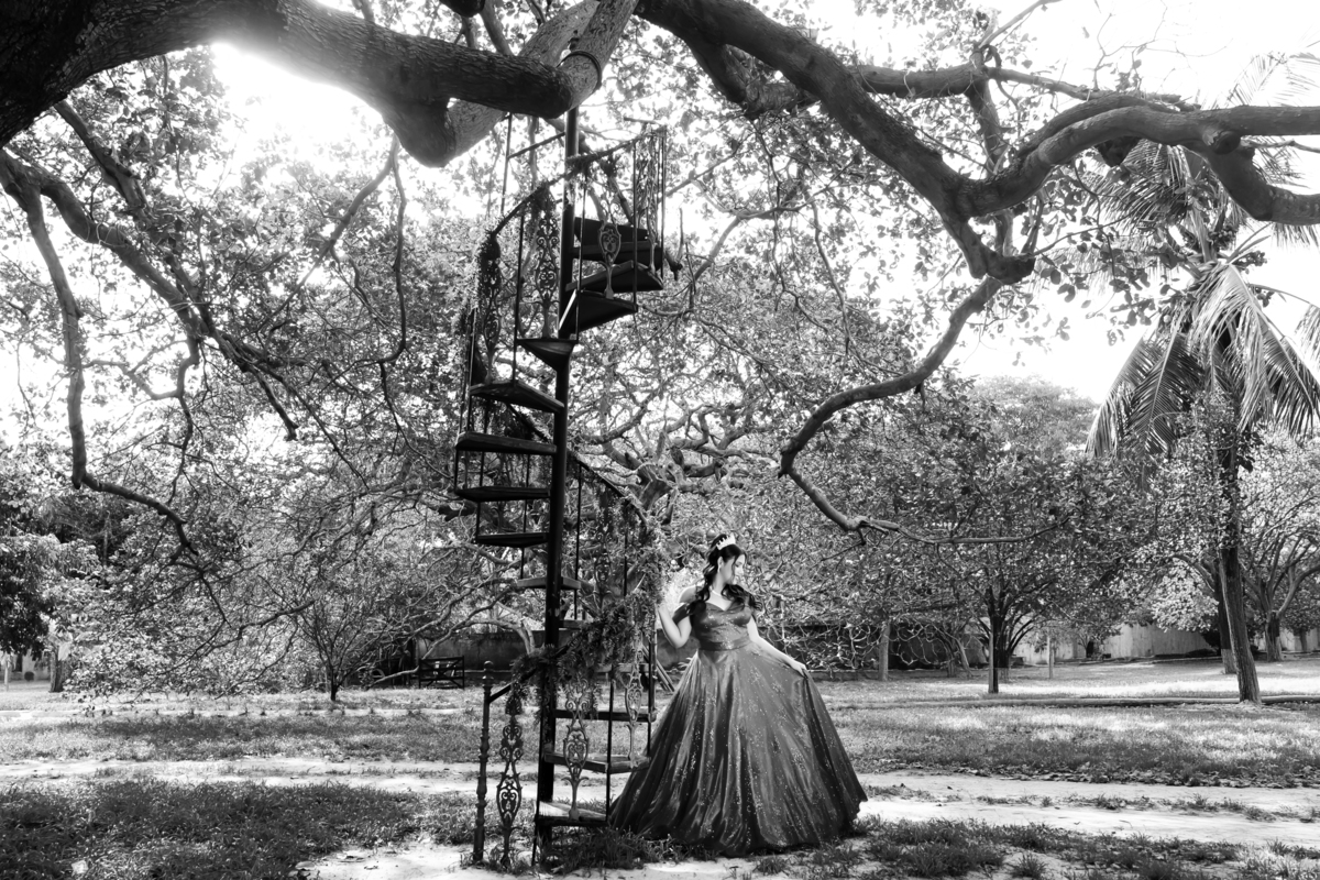 Ensaio 15 anos Sitio Olhares Eusebio