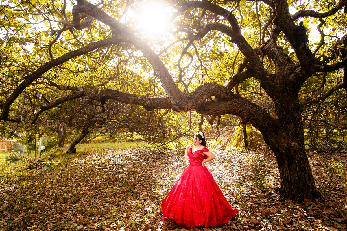 Ensaio 15 anos Sitio Olhares Eusebio