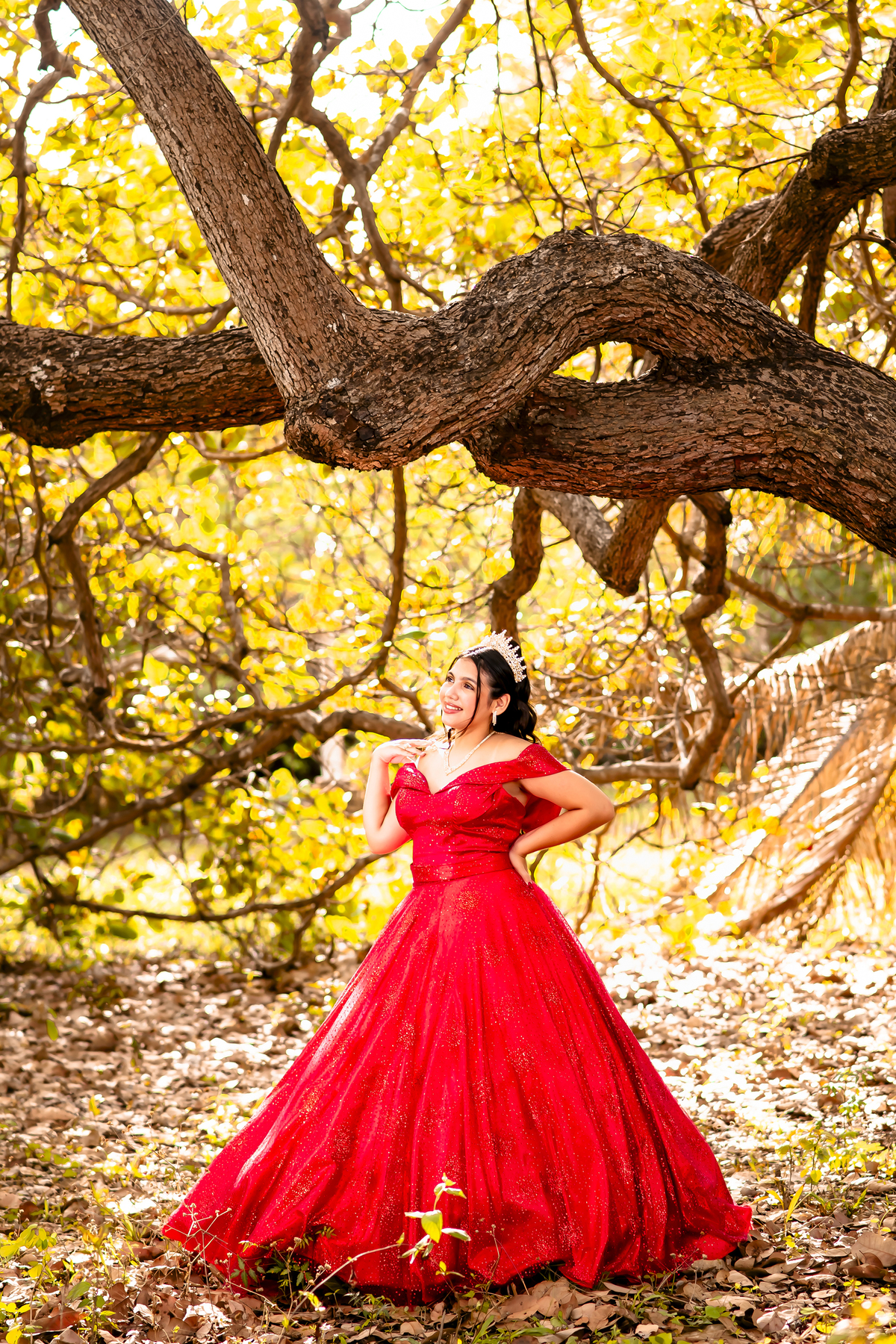 Ensaio 15 anos Sitio Olhares Eusebio