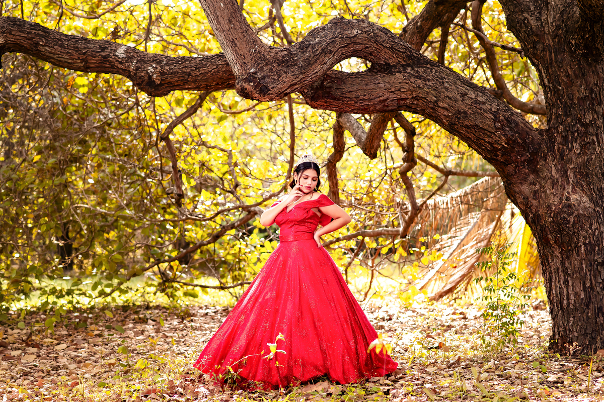 Ensaio 15 anos Sitio Olhares Eusebio